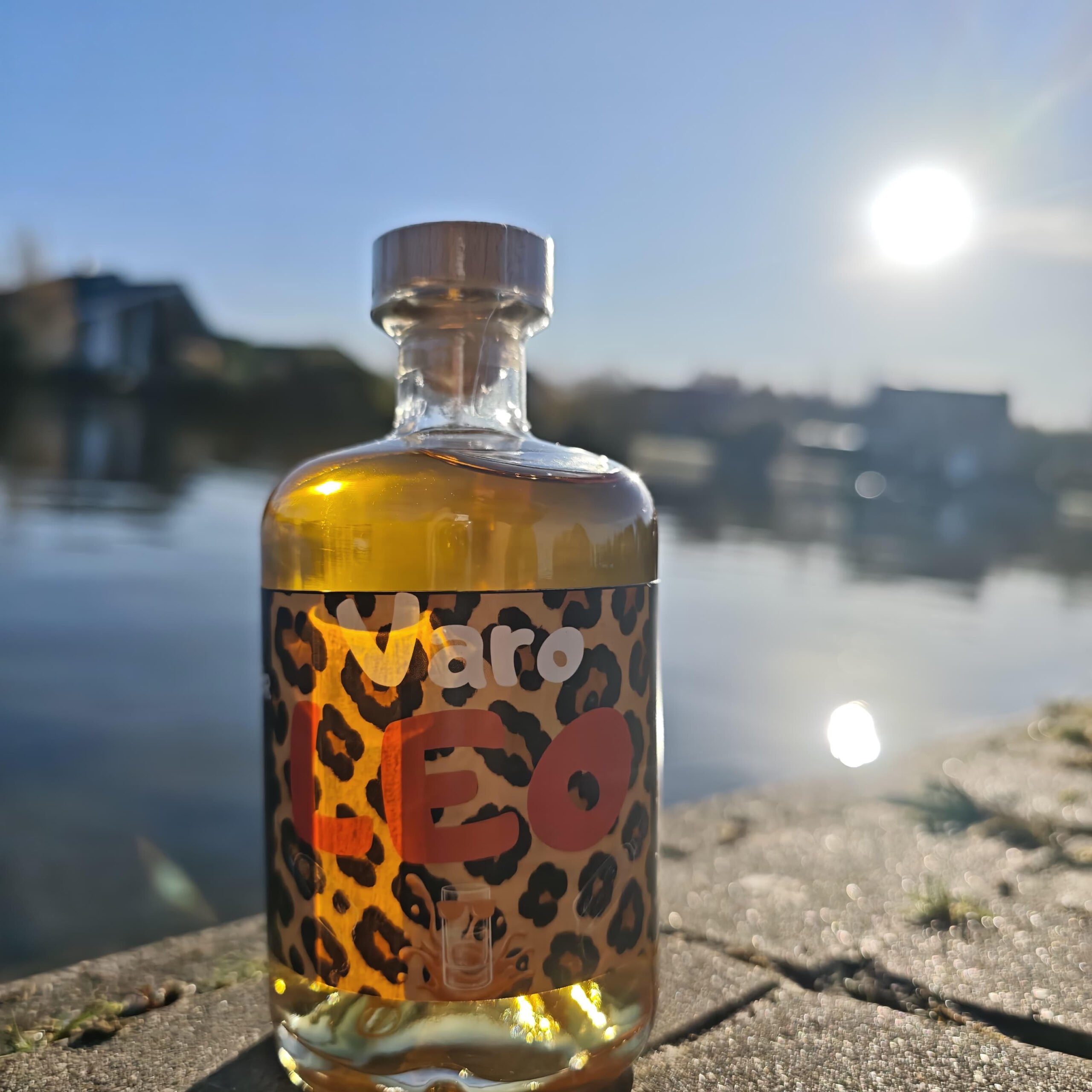 VaroLeoSee
